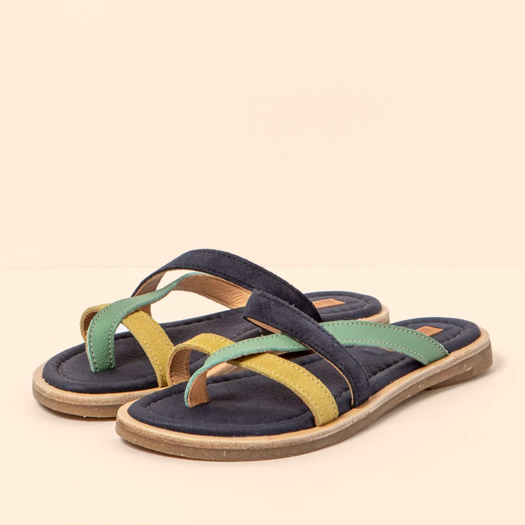 El Naturalista Sandaler<5692 Tonami